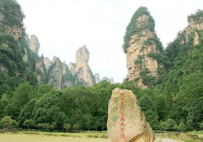 走湘西——張家界、鳳凰古城游記(一)