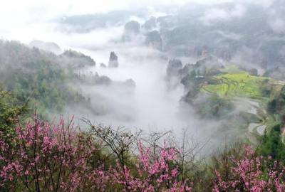 候鳥(niǎo)的選擇，彰顯湖南生態(tài)系統(tǒng)持續(xù)優(yōu)化