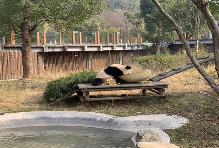 長沙生態(tài)動物園